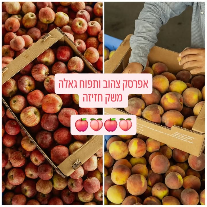 אפרסקים ותפוחים ממשק חזיזה