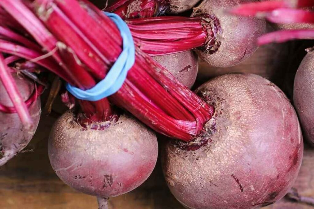 סלק סגול אורגני