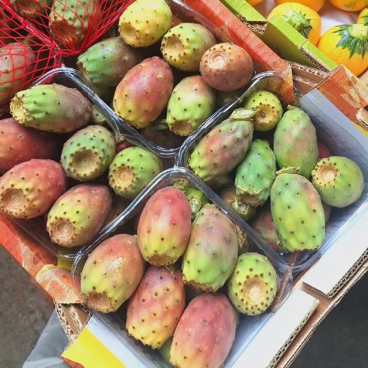 סברס צבעוני ממשק להב