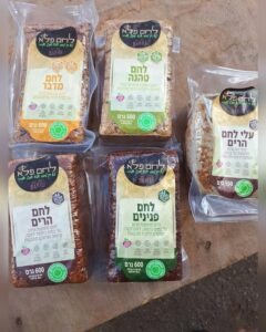 כיכרות לחם טבעוני וללא גלוטן