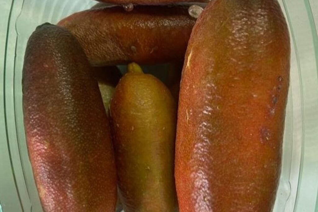 פינגר ליים אדום